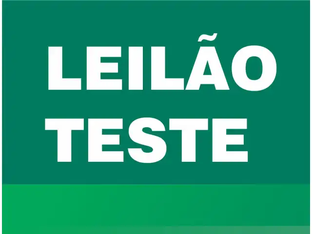 LEILÃO TESTE