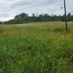 OS DIREITOS POSSESSÓRIOS SOBRE A FRAÇÃO IDEAL DE 60.000,00M², SITUADAS EM LINHA ESTÂNCIA