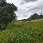 OS DIREITOS POSSESSÓRIOS SOBRE A FRAÇÃO IDEAL DE 60.000,00M², SITUADAS EM LINHA ESTÂNCIA