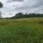 OS DIREITOS POSSESSÓRIOS SOBRE A FRAÇÃO IDEAL DE 60.000,00M², SITUADAS EM LINHA ESTÂNCIA