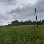 OS DIREITOS POSSESSÓRIOS SOBRE A FRAÇÃO IDEAL DE 60.000,00M², SITUADAS EM LINHA ESTÂNCIA