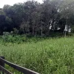 OS DIREITOS POSSESSÓRIOS SOBRE A FRAÇÃO IDEAL DE 60.000,00M², SITUADAS EM LINHA ESTÂNCIA