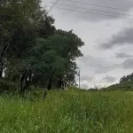 OS DIREITOS POSSESSÓRIOS SOBRE A FRAÇÃO IDEAL DE 60.000,00M², SITUADAS EM LINHA ESTÂNCIA