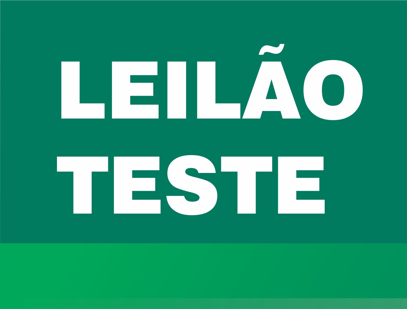 LEILÃO TESTE