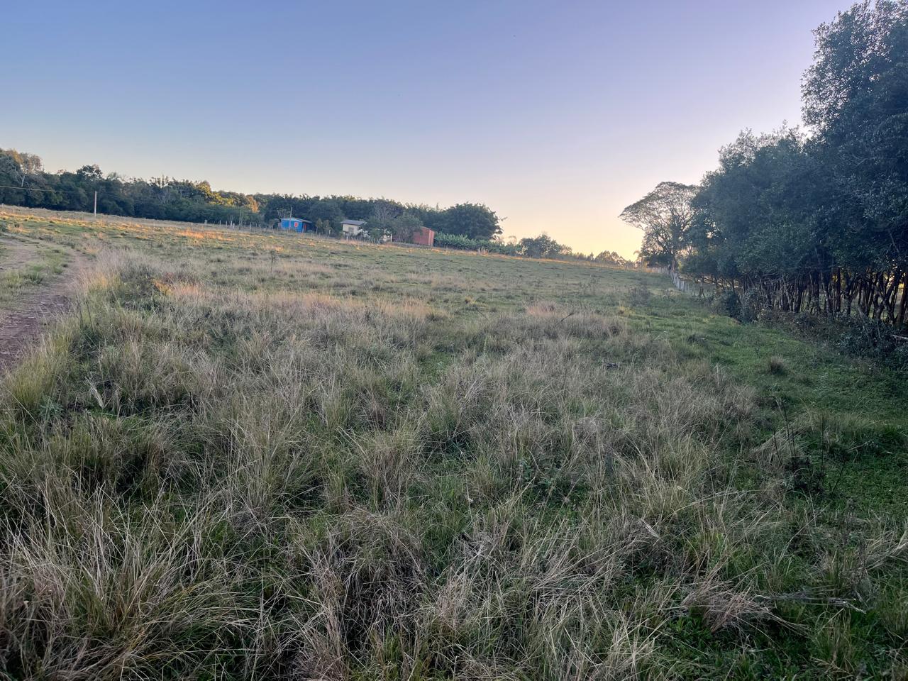 Fração ideal com área de 24.500,00m², em Linha Henrique D Ávila, zona rural de Vera Cruz/RS, localizado em Vera Cruz - RS