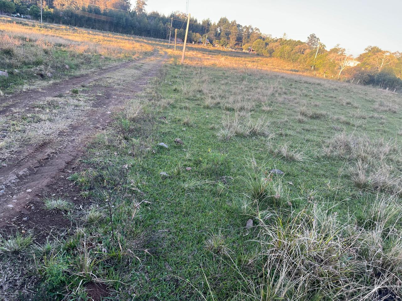 Fração ideal com área de 24.500,00m², em Linha Henrique D Ávila, zona rural de Vera Cruz/RS, localizado em Vera Cruz - RS