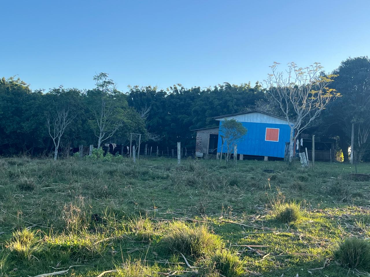 Fração ideal com área de 24.500,00m², em Linha Henrique D Ávila, zona rural de Vera Cruz/RS, localizado em Vera Cruz - RS
