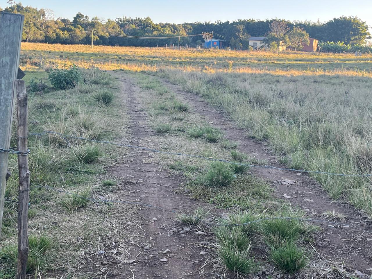 Fração ideal com área de 24.500,00m², em Linha Henrique D Ávila, zona rural de Vera Cruz/RS, localizado em Vera Cruz - RS