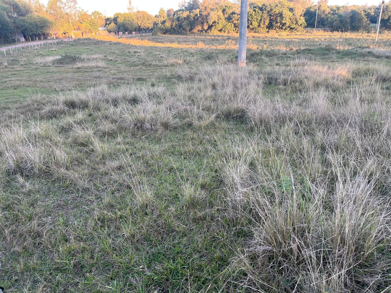Fração ideal com área de 24.500,00m², em Linha Henrique D Ávila, zona rural de Vera Cruz/RS, localizado em Vera Cruz - RS