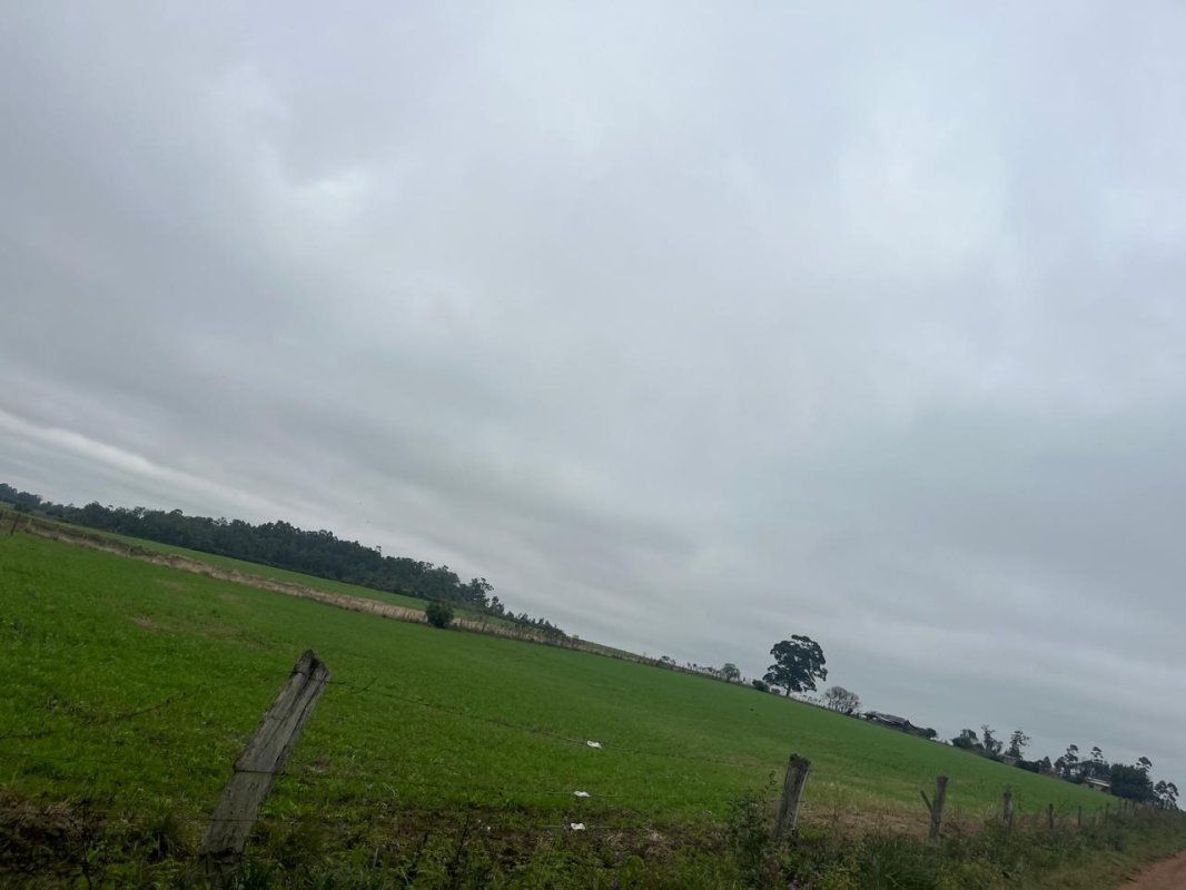 LOTE 028 - Uma fração de terras com 9,3 hectares, em Bexiga, Rio Pardo/RS