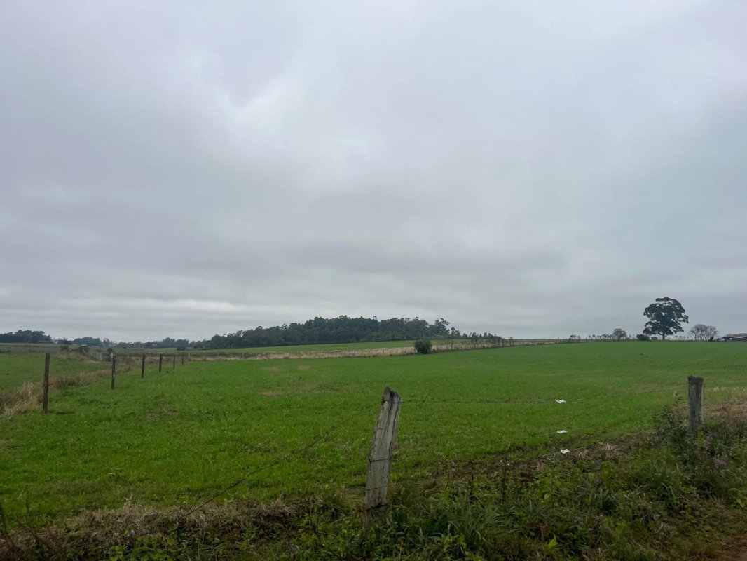 LOTE 028 - Uma fração de terras com 9,3 hectares, em Bexiga, Rio Pardo/RS