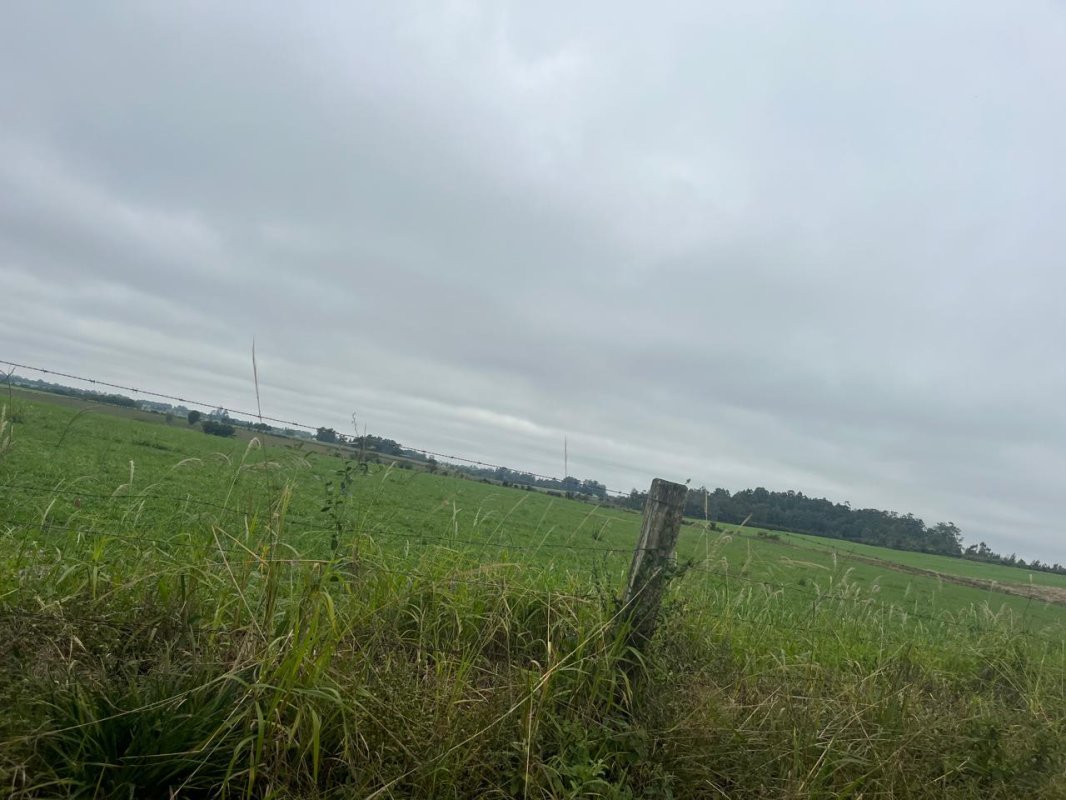 LOTE 028 - Uma fração de terras com 9,3 hectares, em Bexiga, Rio Pardo/RS