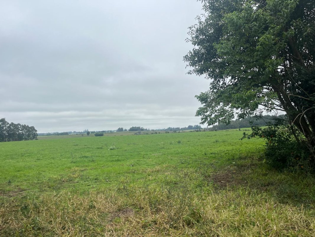 LOTE 028 - Uma fração de terras com 9,3 hectares, em Bexiga, Rio Pardo/RS